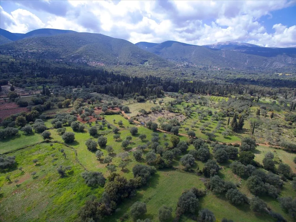 γη προς πώληση 6113 τ.μ Σιπιάδα Μαγνησία