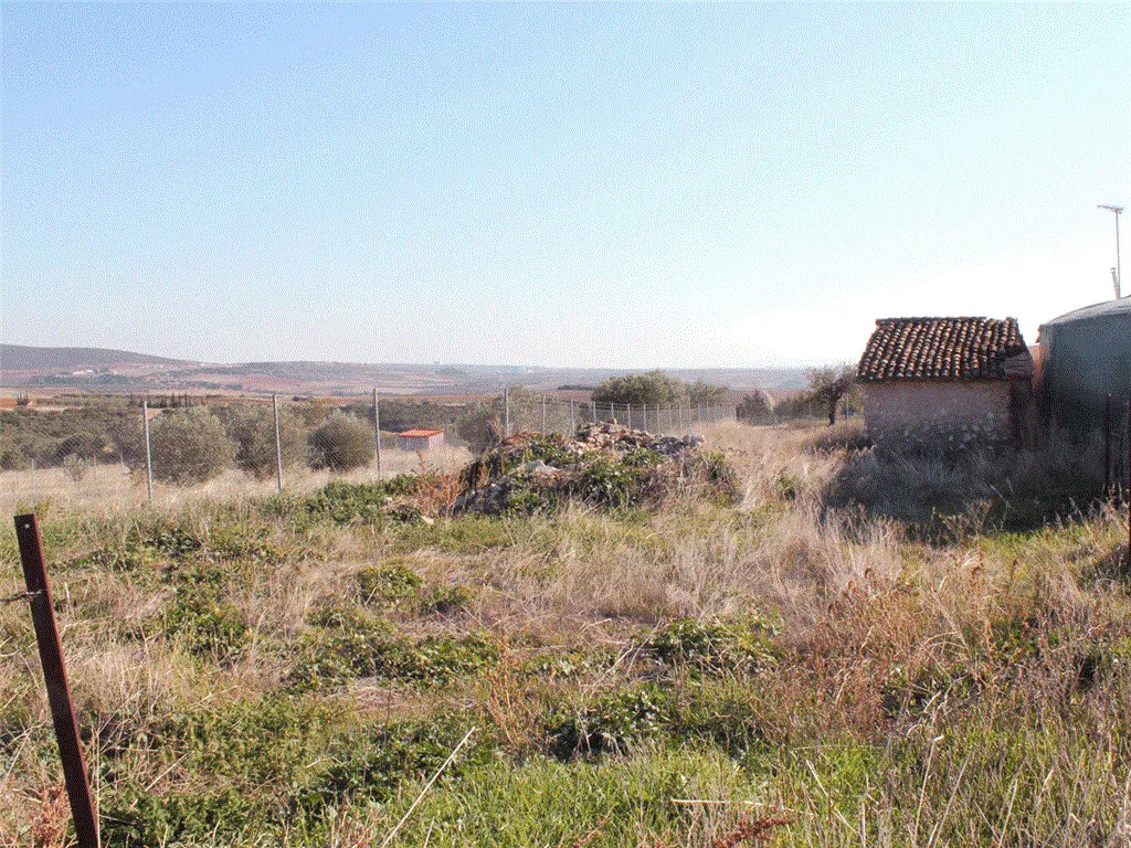 γη προς πώληση  τ.μ  Χαλκιδική