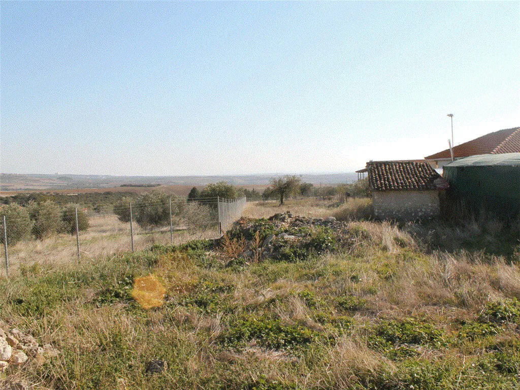 γη προς πώληση  τ.μ  Χαλκιδική