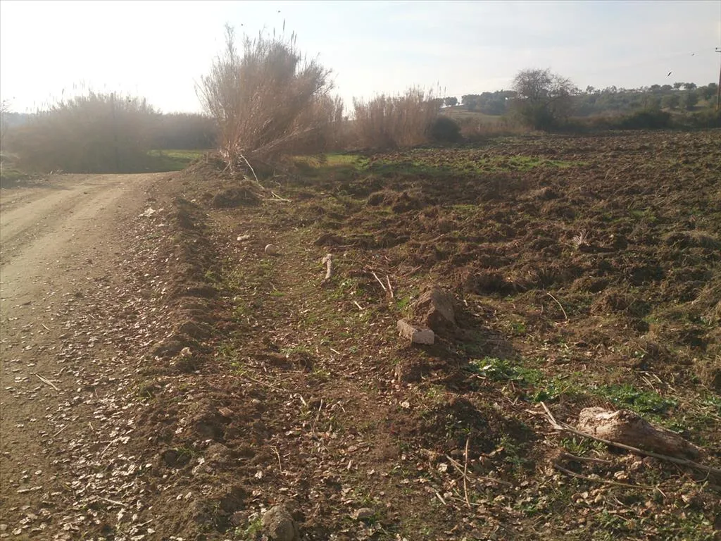 γη προς πώληση 29643 τ.μ Κασσάνδρα Χαλκιδική