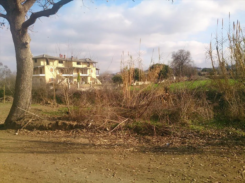 γη προς πώληση 29643 τ.μ Κασσάνδρα Χαλκιδική