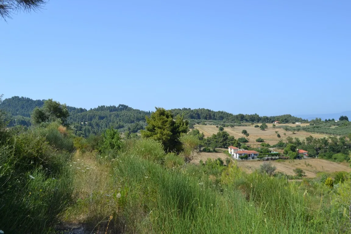 γη προς πώληση 2000 τ.μ Κασσάνδρα Χαλκιδική