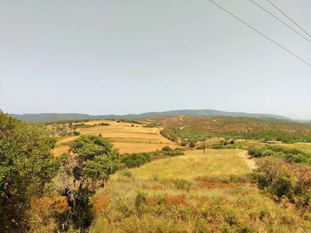 γη προς πώληση 10750 τ.μ  Χαλκιδική