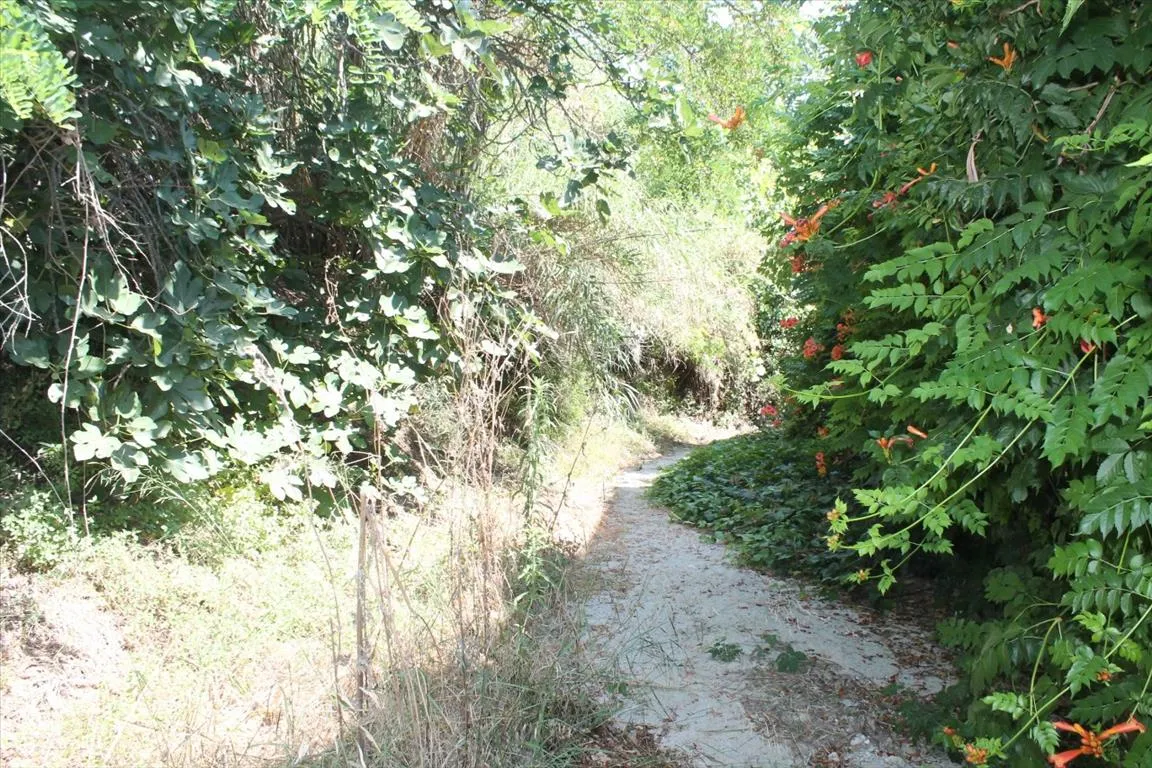 γη προς πώληση 200 τ.μ Κασσάνδρα Χαλκιδική