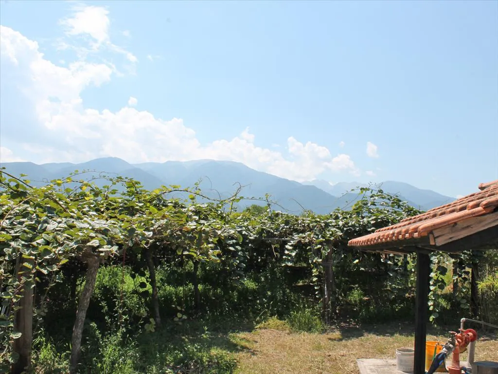 γη προς πώληση 5000 τ.μ Λιτόχωρο Νομός Πιερίας