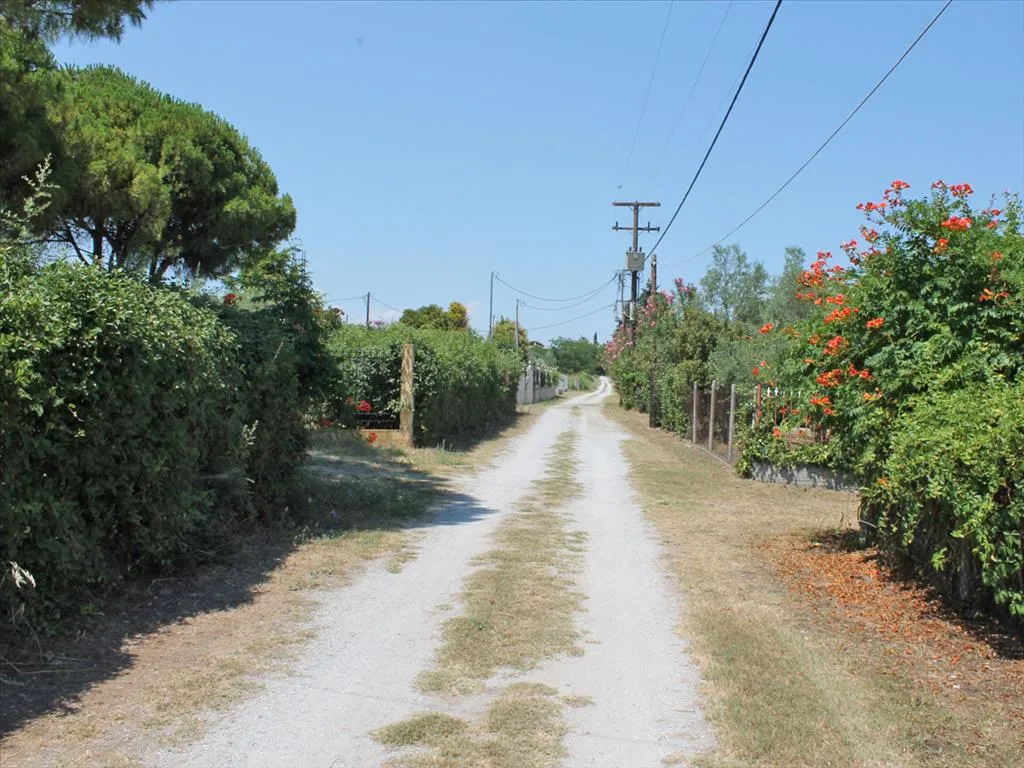 γη προς πώληση 5000 τ.μ Λιτόχωρο Νομός Πιερίας