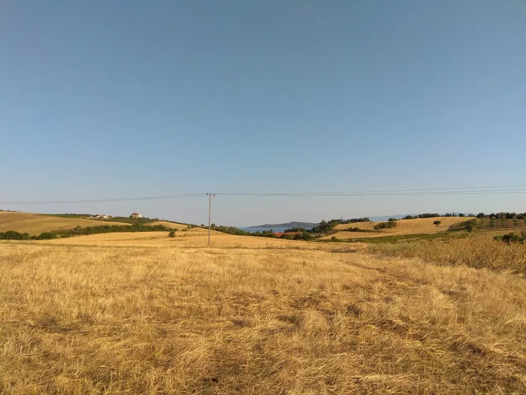γη προς πώληση 8453 τ.μ  Χαλκιδική
