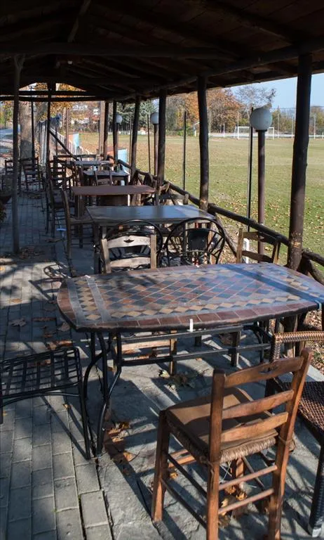 επιχείρηση προς πώληση 1110 τ.μ Αριδαία Πέλλα