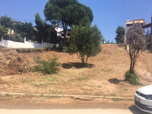 γη προς πώληση 1330 τ.μ Κασσάνδρα Χαλκιδική