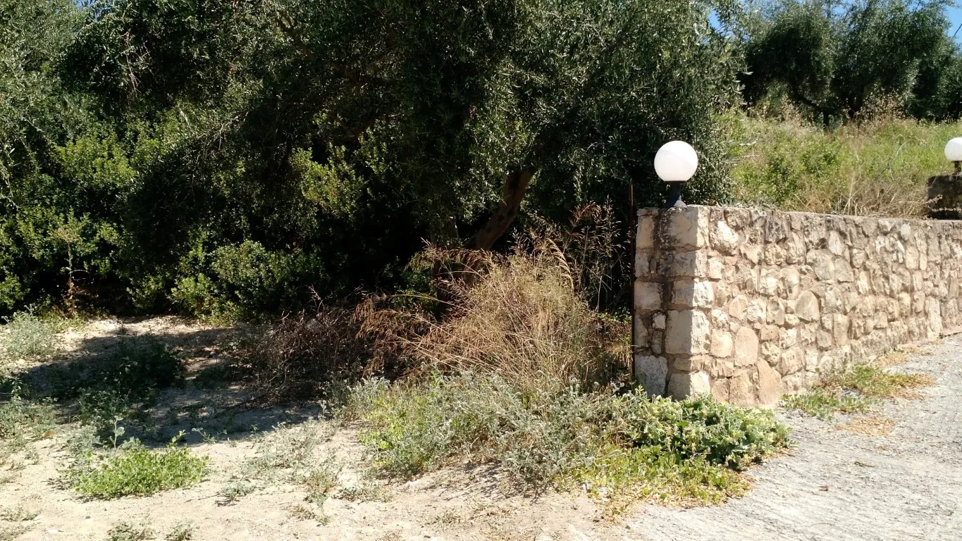 γη προς πώληση 4300 τ.μ Αρκάδι Νομός Ρεθύμνου