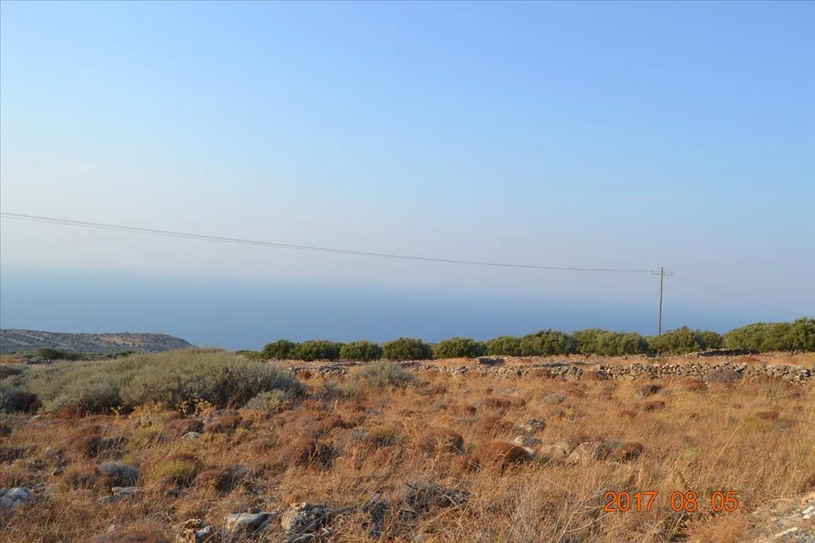 γη προς πώληση 3000 τ.μ Άγιος Νικόλαος Νομός Λασιθίου