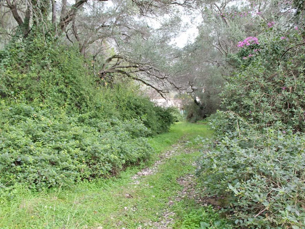 γη προς πώληση  τ.μ Κέρκυρα Νομός Κέρκυρας