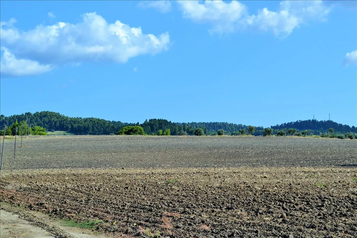 γη προς πώληση 13000 τ.μ Κασσάνδρα Χαλκιδική