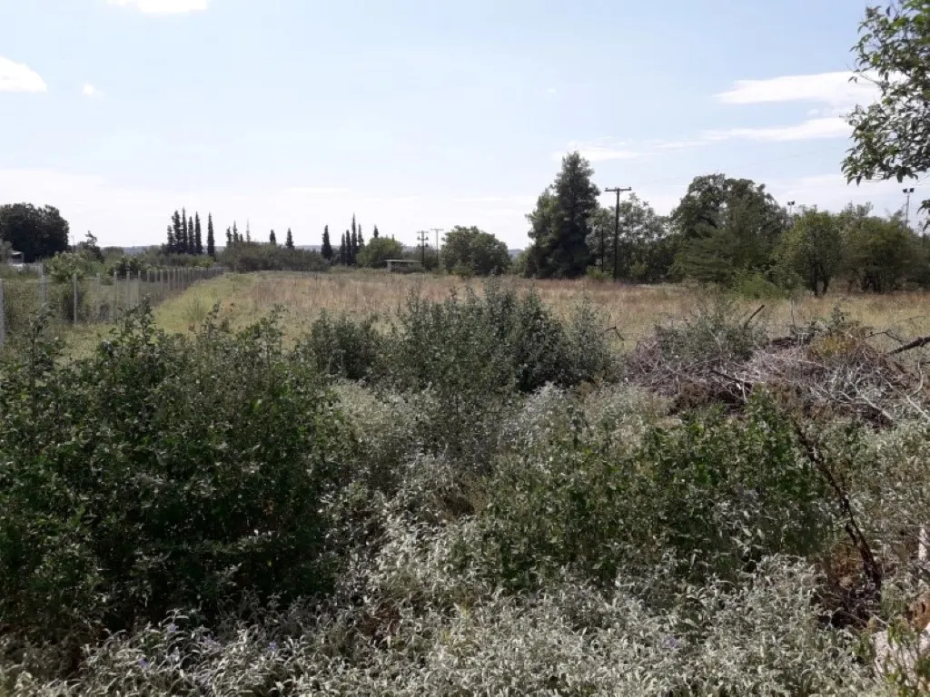 γη προς πώληση 5908 τ.μ Θέρμη Προάστια Θεσσαλονίκης