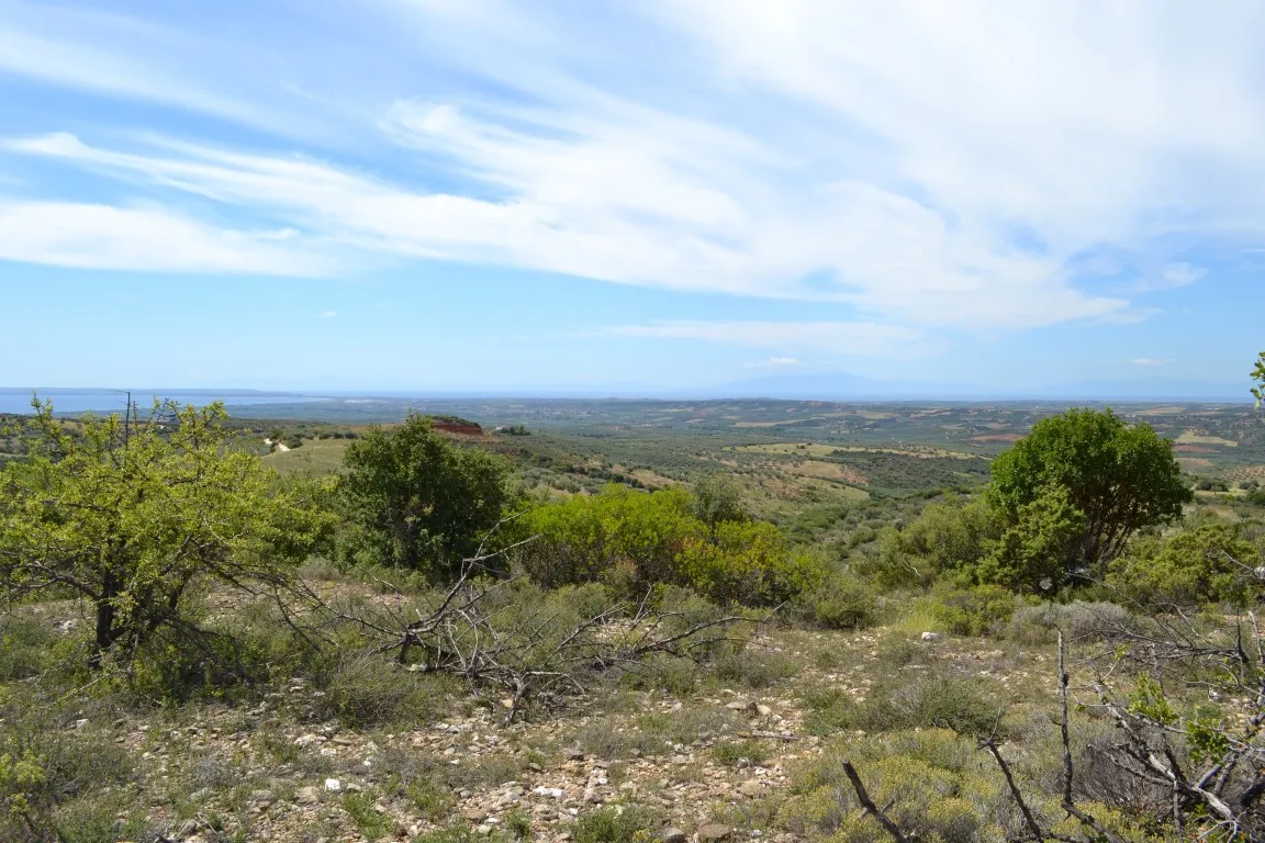 γη προς πώληση 20000 τ.μ Πολύγυρος Χαλκιδική