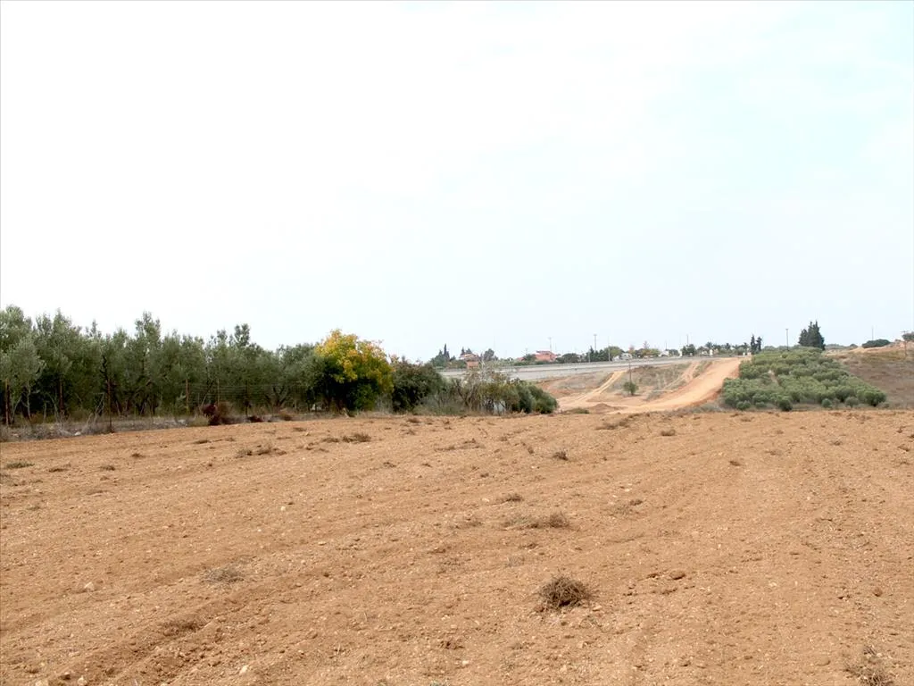 γη προς πώληση 6200 τ.μ Κασσάνδρα Χαλκιδική