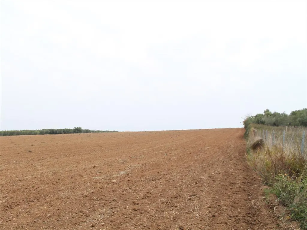 γη προς πώληση 6200 τ.μ Κασσάνδρα Χαλκιδική