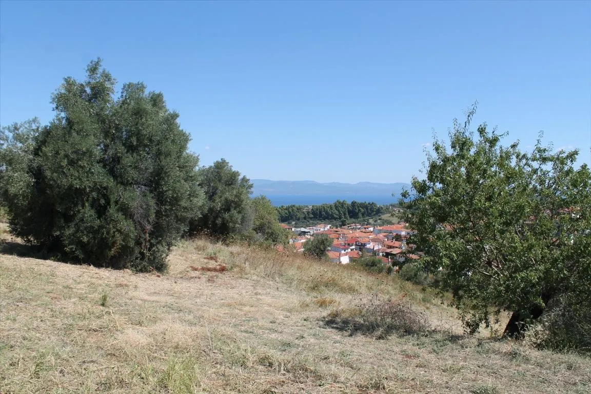 γη προς πώληση 6000 τ.μ Κασσάνδρα Χαλκιδική