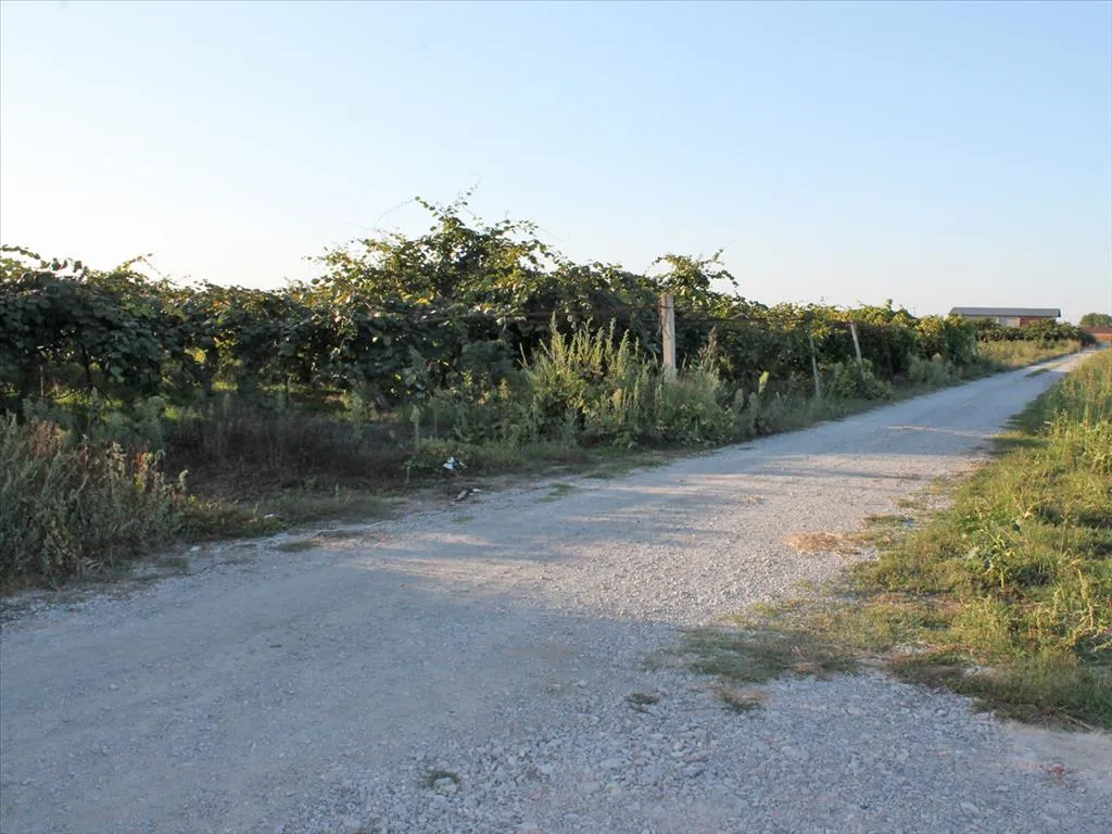 γη προς πώληση 10000 τ.μ Κατερίνη Νομός Πιερίας