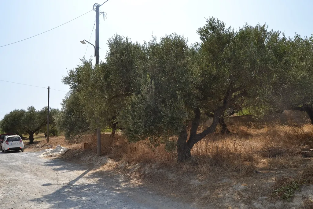 γη προς πώληση 1400 τ.μ Γούβες Νομός Ηρακλείου