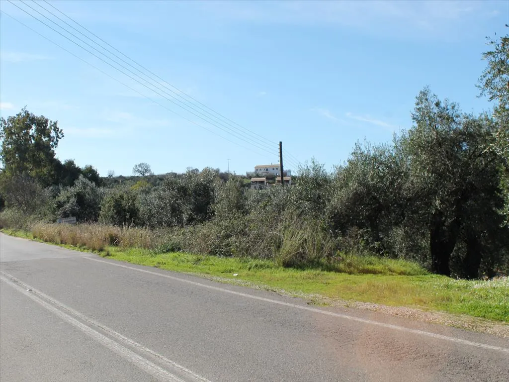 γη προς πώληση  τ.μ Κέρκυρα Νομός Κέρκυρας