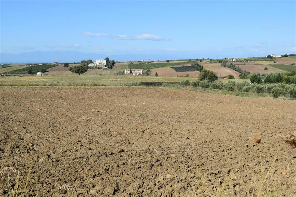 γη προς πώληση 8000 τ.μ Μίκρα Προάστια Θεσσαλονίκης