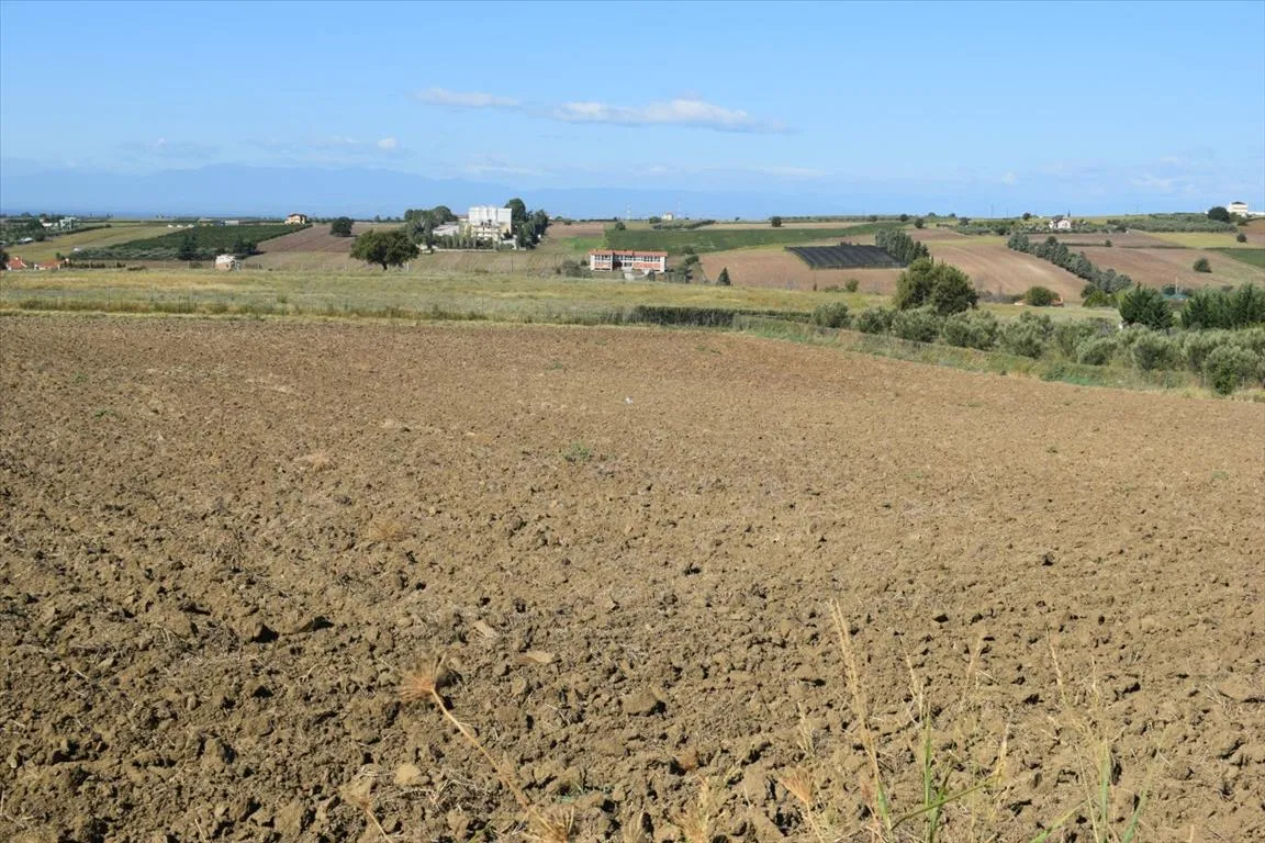 γη προς πώληση 8000 τ.μ Μίκρα Προάστια Θεσσαλονίκης