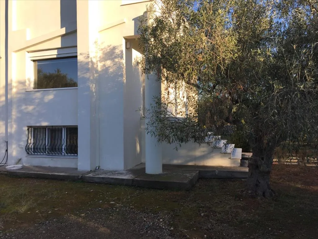 μονοκατοικία προς πώληση 320 τ.μ Ανθηδώνα Εύβοια