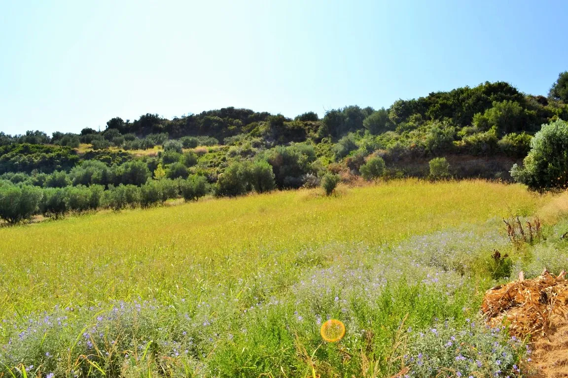γη προς πώληση 4000 τ.μ Κασσάνδρα Χαλκιδική