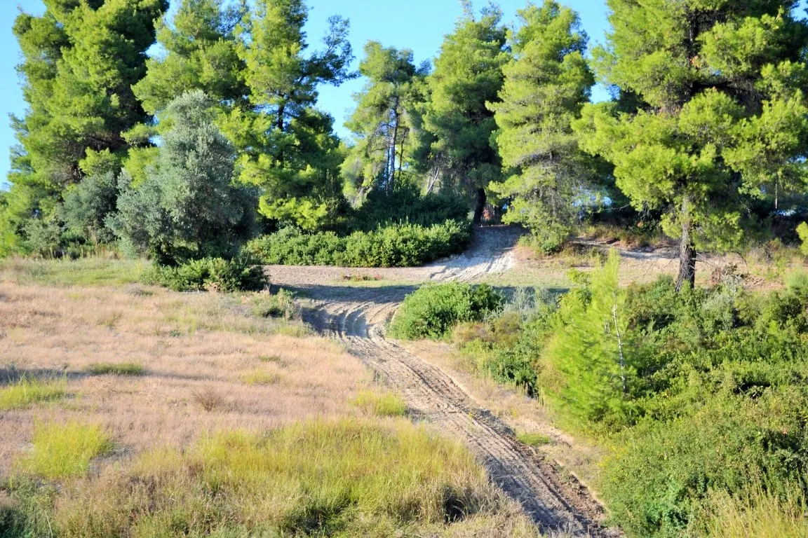 γη προς πώληση 5230 τ.μ Κασσάνδρα Χαλκιδική