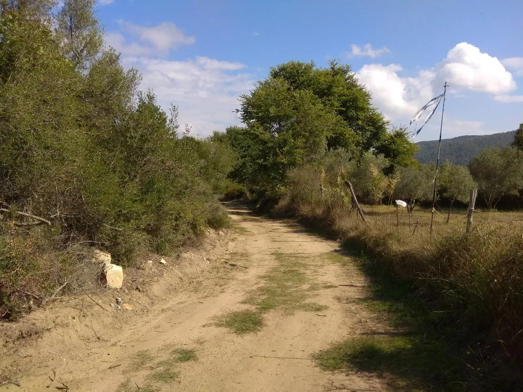 γη προς πώληση 6886 τ.μ Αριστοτέλης Χαλκιδική