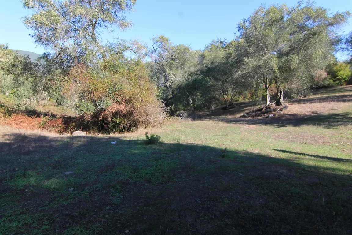 γη προς πώληση 11000 τ.μ Κέρκυρα Νομός Κέρκυρας