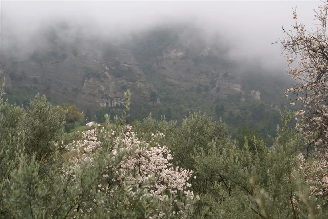 μονοκατοικία προς πώληση 170 τ.μ Ευρωστίνα Κορινθία