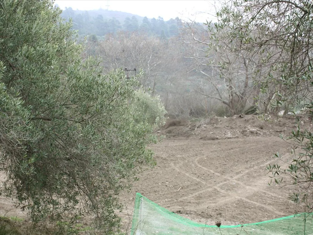 γη προς πώληση 750 τ.μ Σιθωνία Χαλκιδική