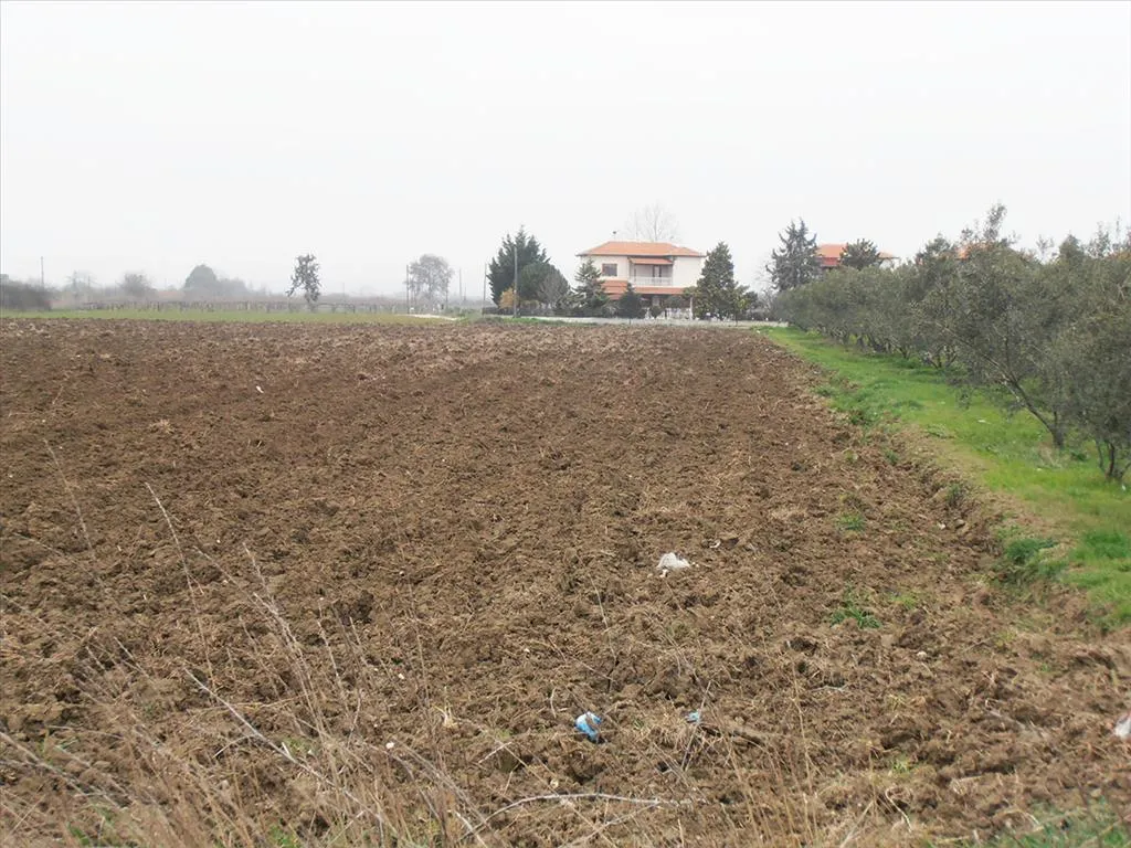 γη προς πώληση 4862 τ.μ Κατερίνη Νομός Πιερίας