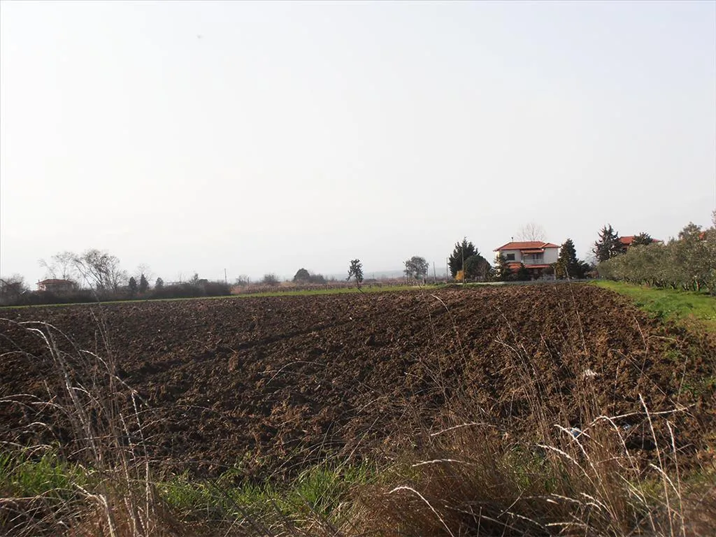 γη προς πώληση 4862 τ.μ Κατερίνη Νομός Πιερίας