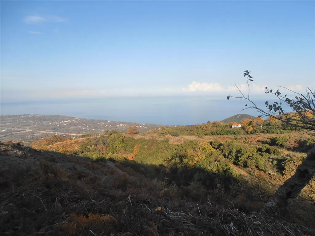 γη προς πώληση 780 τ.μ  Νομός Πιερίας