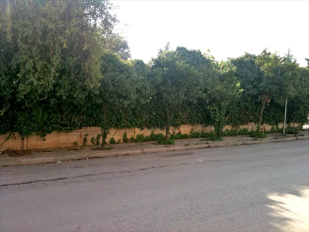 γη προς πώληση  τ.μ  Υπόλοιπη Αττικής