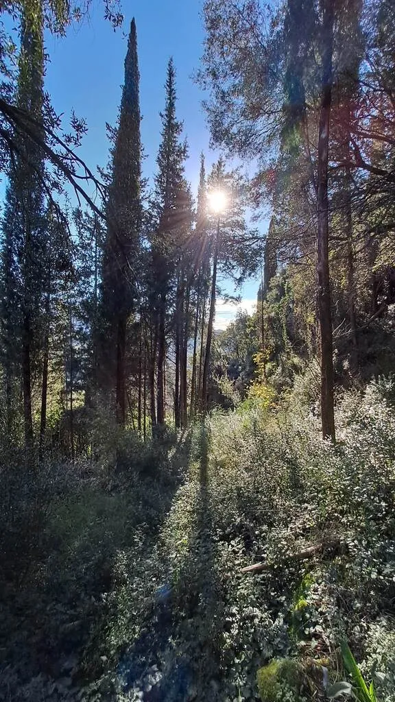 γη προς πώληση 95095 τ.μ Κέρκυρα Νομός Κέρκυρας