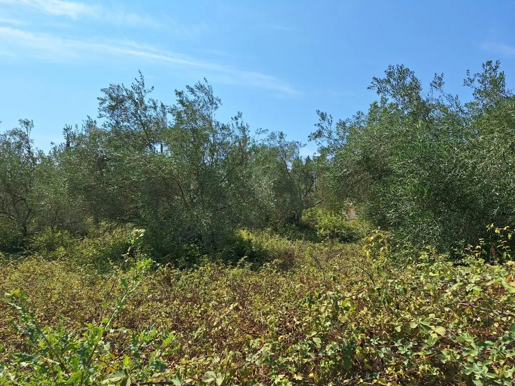 γη προς πώληση 4683 τ.μ Κέρκυρα Νομός Κέρκυρας