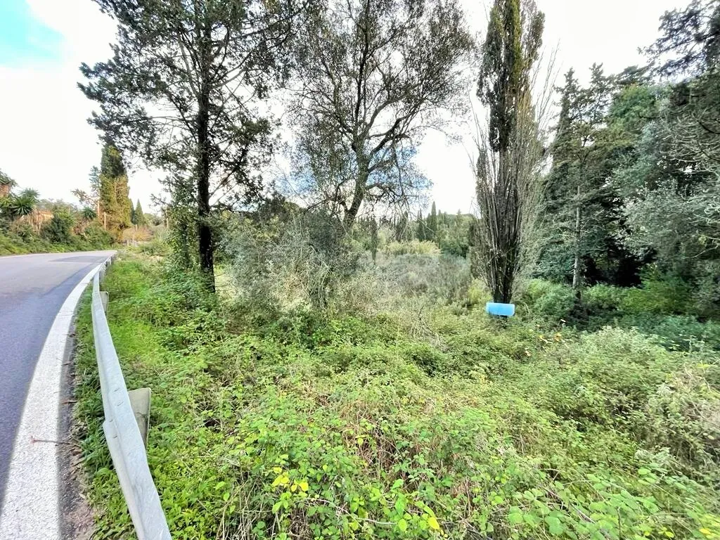 γη προς πώληση 6145 τ.μ Κέρκυρα Νομός Κέρκυρας