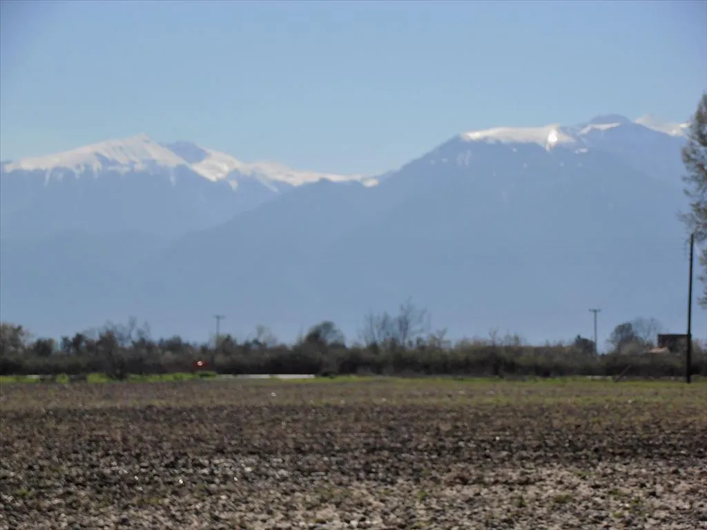 γη προς πώληση 9600 τ.μ Κατερίνη Νομός Πιερίας