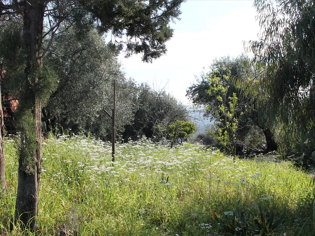 γη προς πώληση 4972 τ.μ Κέρκυρα Νομός Κέρκυρας