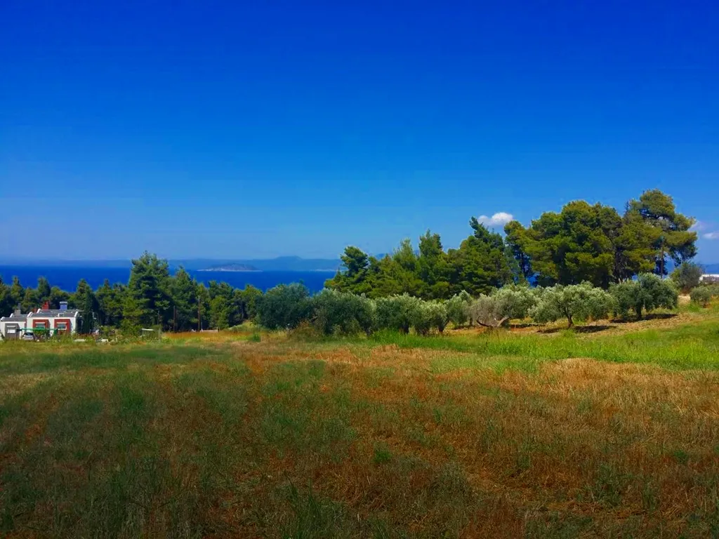 γη προς πώληση 8000 τ.μ Κασσάνδρα Χαλκιδική