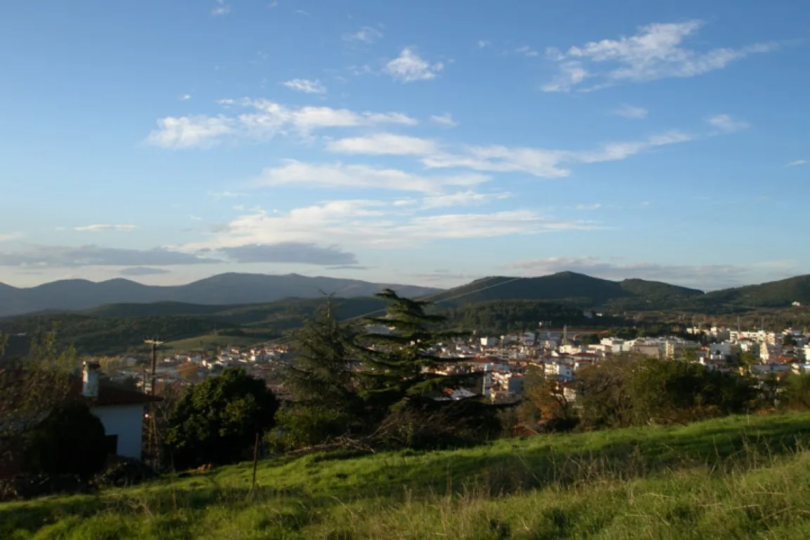 γη προς πώληση 947 τ.μ Πολύγυρος Χαλκιδική