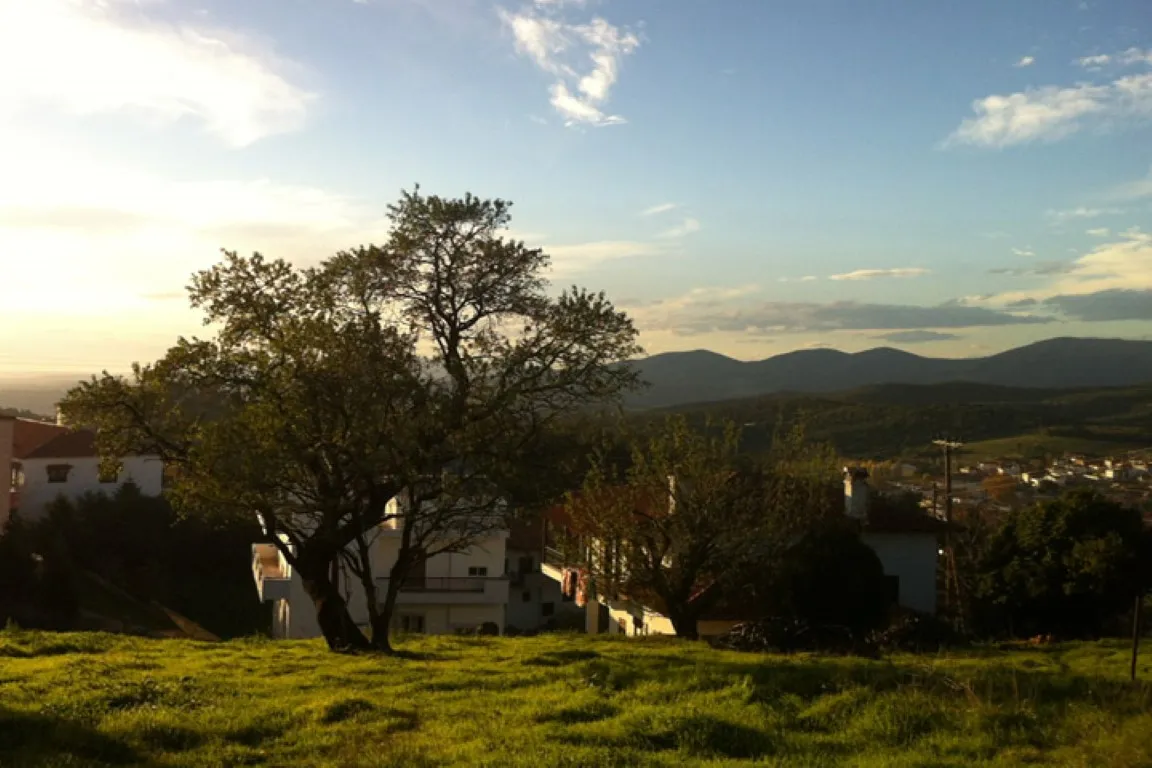 γη προς πώληση 947 τ.μ Πολύγυρος Χαλκιδική
