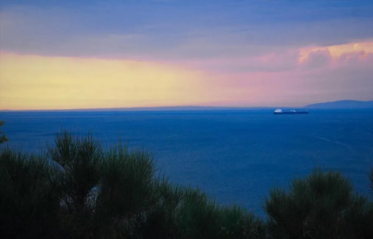 γη προς πώληση 210000 τ.μ Θερμαϊκός Προάστια Θεσσαλονίκης