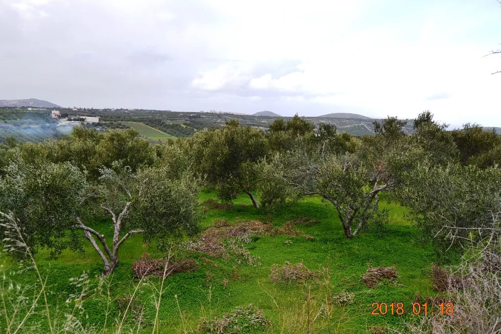 γη προς πώληση 2240 τ.μ Γούβες Νομός Ηρακλείου