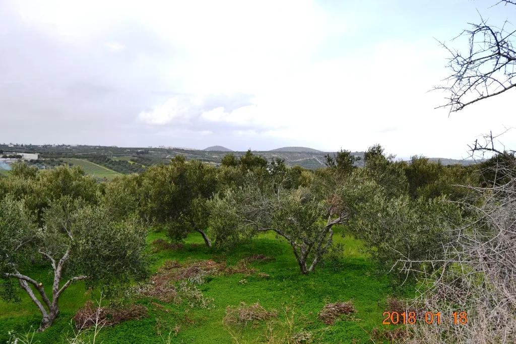 γη προς πώληση 2240 τ.μ Γούβες Νομός Ηρακλείου