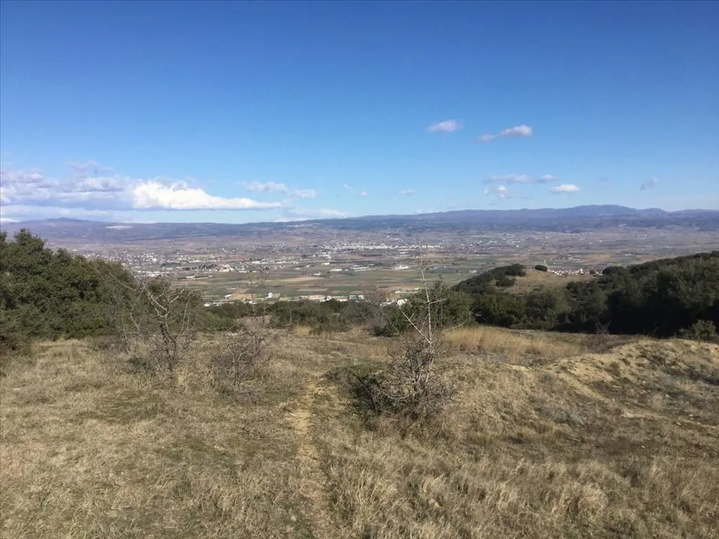 γη προς πώληση 6500 τ.μ Χορτιάτης Προάστια Θεσσαλονίκης